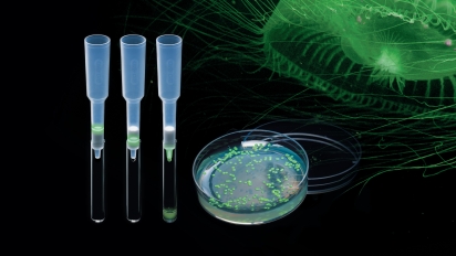 Pipette tips and test tubes with green samples alongside a glowing petri dish, with an artistic jellyfish illustration in the background