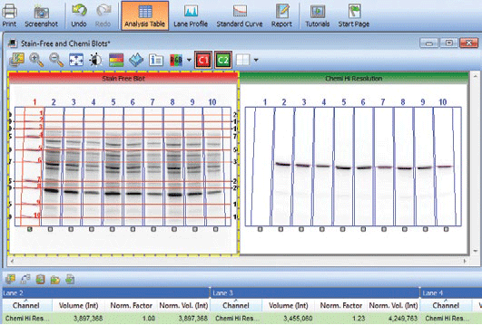 Screenshot of Image Lab software